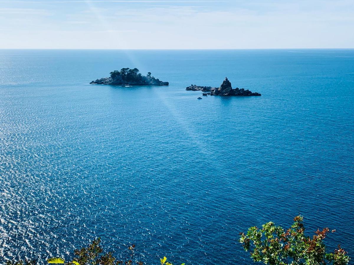 Best View Apartment Petrovac Exterior photo