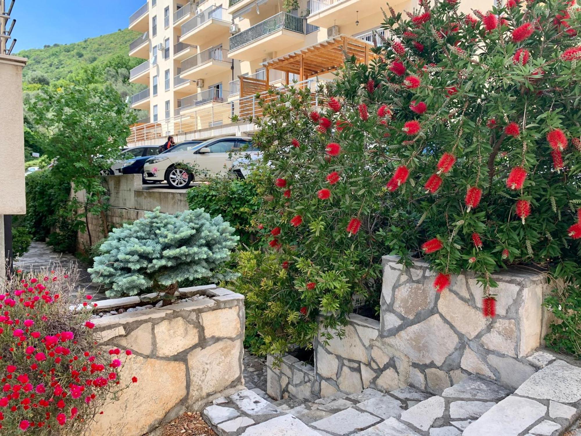 Best View Apartment Petrovac Exterior photo